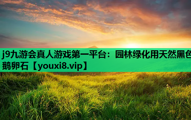 j9九游会真人游戏第一平台：园林绿化用天然黑色鹅卵石