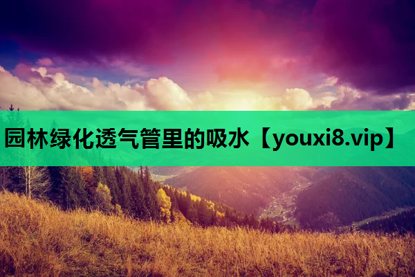 园林绿化透气管里的吸水