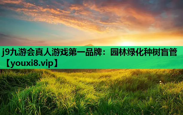 j9九游会真人游戏第一品牌：园林绿化种树盲管