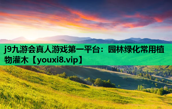 j9九游会真人游戏第一平台：园林绿化常用植物灌木