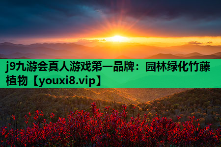 j9九游会真人游戏第一品牌：园林绿化竹藤植物
