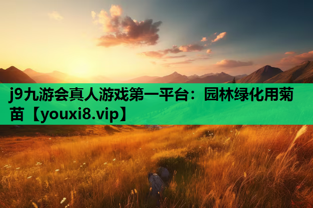 j9九游会真人游戏第一平台：园林绿化用菊苗
