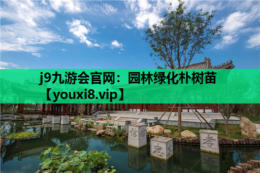 j9九游会官网：园林绿化朴树苗