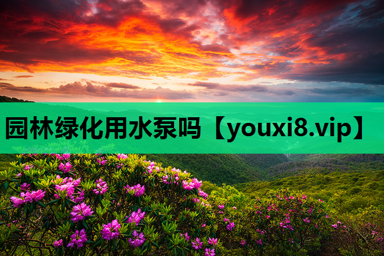园林绿化用水泵吗