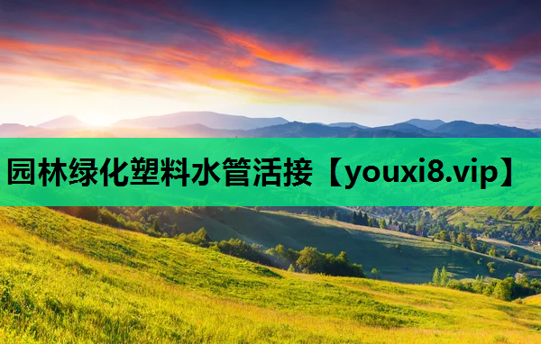 园林绿化塑料水管活接