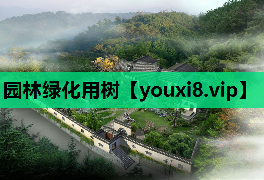 园林绿化用树