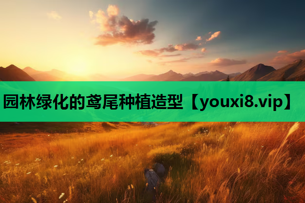 园林绿化的鸢尾种植造型