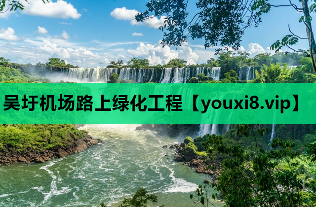 吴圩机场路上绿化工程