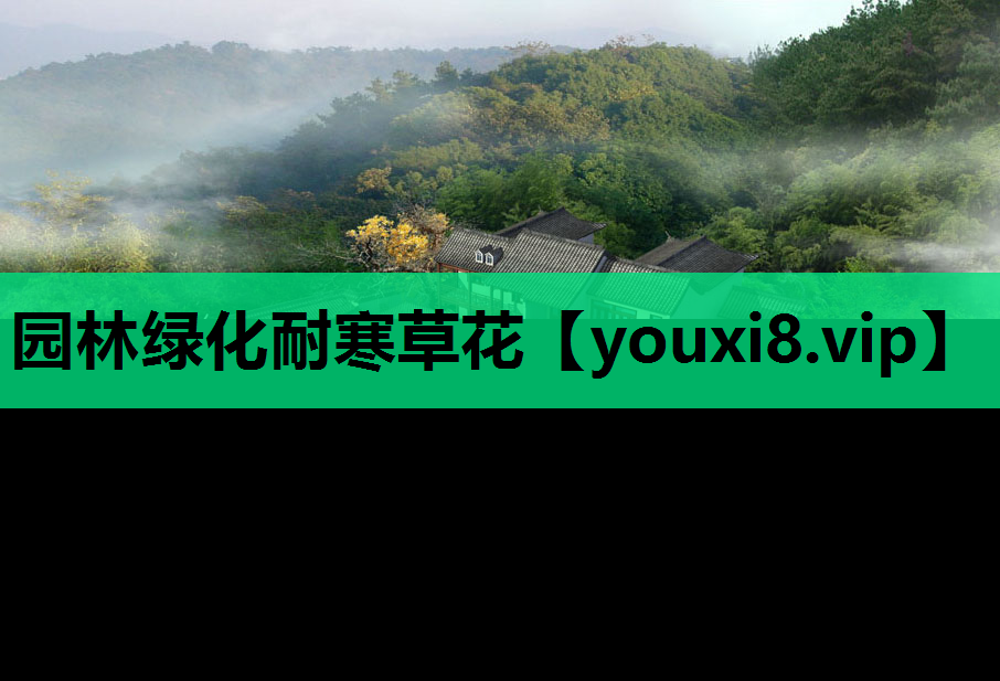 园林绿化耐寒草花