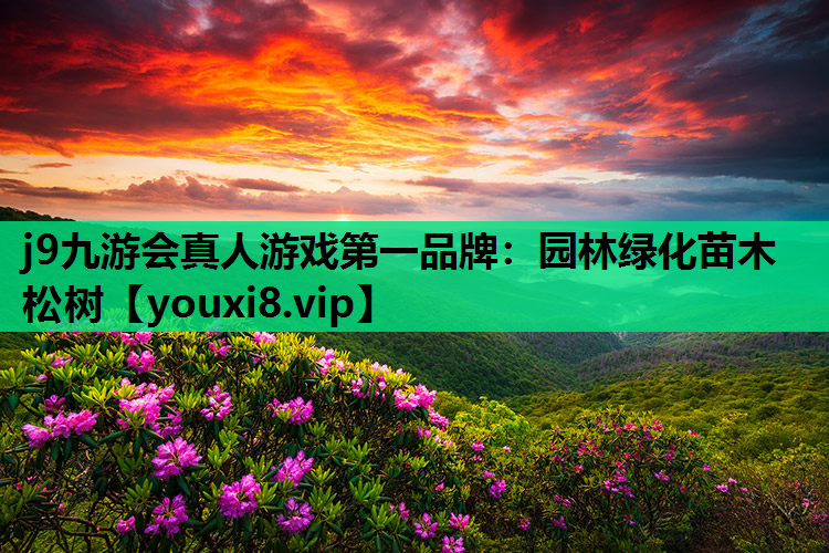 j9九游会真人游戏第一品牌：园林绿化苗木松树