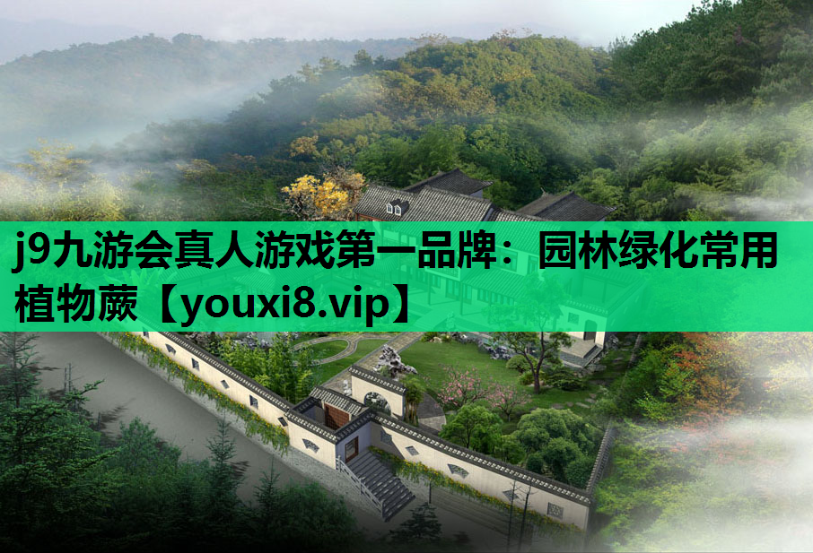 j9九游会真人游戏第一品牌：园林绿化常用植物蕨