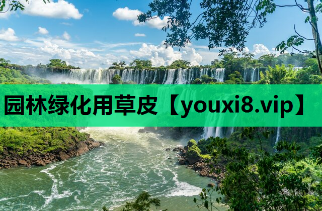 园林绿化用草皮